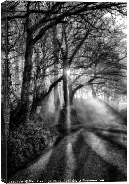 Shafts of Light in a Devon Lane Canvas Print by Paul F Prestidge