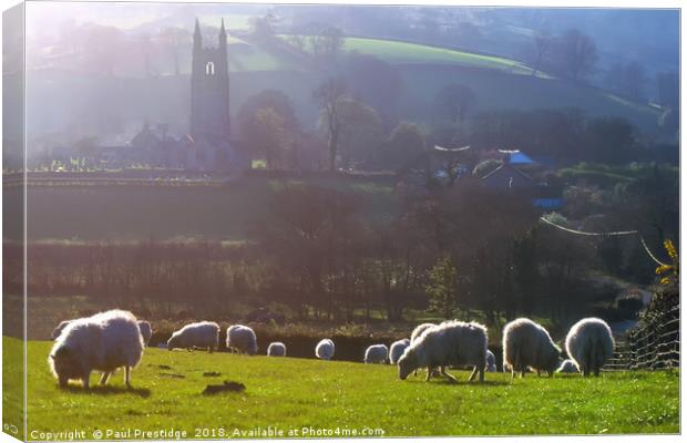 Sheep at Widecombe-in-the-Moor  Canvas Print by Paul F Prestidge