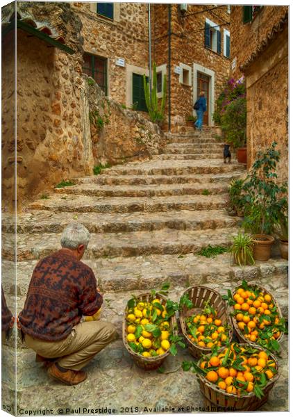 Oranges and Lemons at Fornalutx Canvas Print by Paul F Prestidge