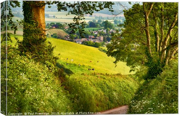 A Devon Country Lane in Spring Canvas Print by Paul F Prestidge