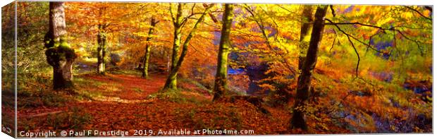 Autumnal Splendor at Spitchwick Canvas Print by Paul F Prestidge