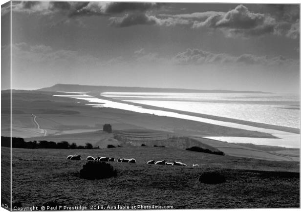 Chesil Beach, Jurassic Coast, Dorset Monochrome  Canvas Print by Paul F Prestidge