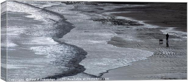 Waves at Goodrington Canvas Print by Paul F Prestidge