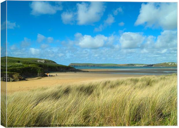 Harbour Cove, Camel Estuary, Padstow Canvas Print by Paul F Prestidge