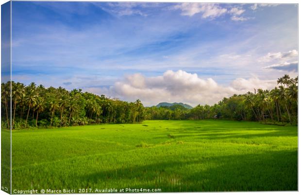 Countryside of Bohol Canvas Print by Marco Bicci