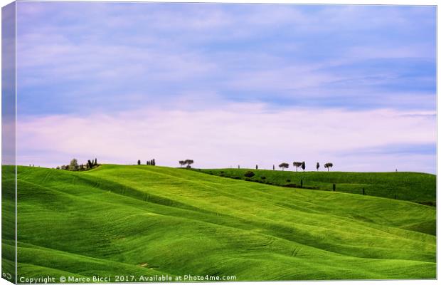 Val d'Orcia landscape Canvas Print by Marco Bicci