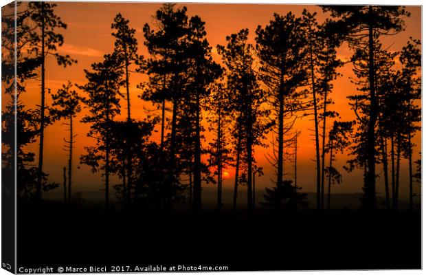 Sunset in the woods Canvas Print by Marco Bicci