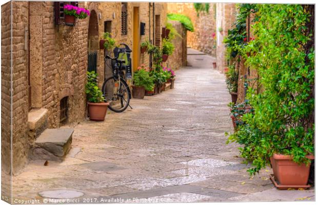 Bicycle leaning against the wall Canvas Print by Marco Bicci