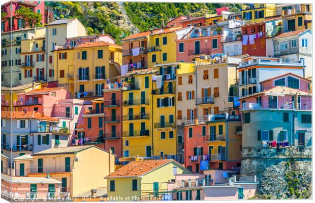 Colorful buildings of Manarola Canvas Print by Marco Bicci
