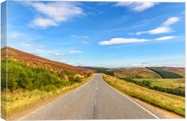 Scottish road Canvas Print by Marco Bicci
