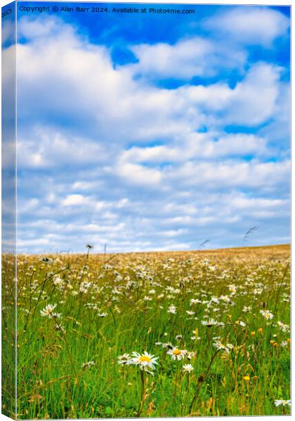 English Meadow on the South Downs Canvas Print by Alan Barr