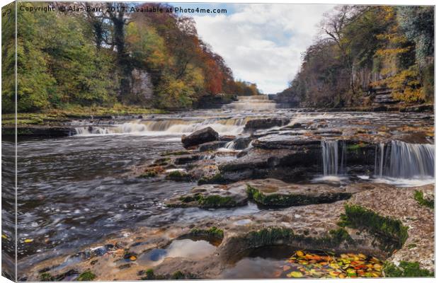 Lower Aysgarth Falls in the Yorkshire Dales  Canvas Print by Alan Barr