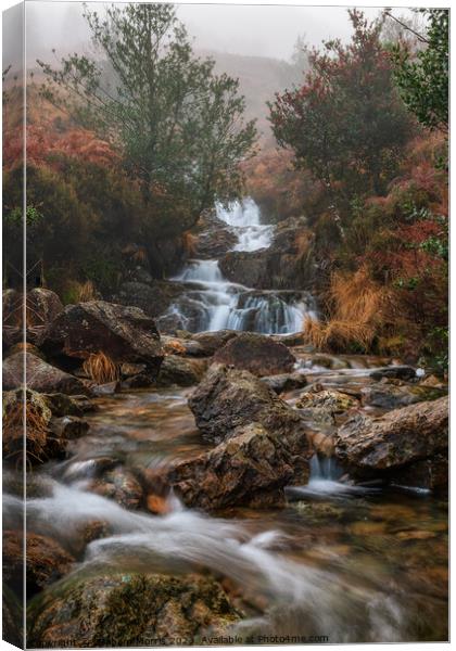 Outdoor  Canvas Print by Graham Morris