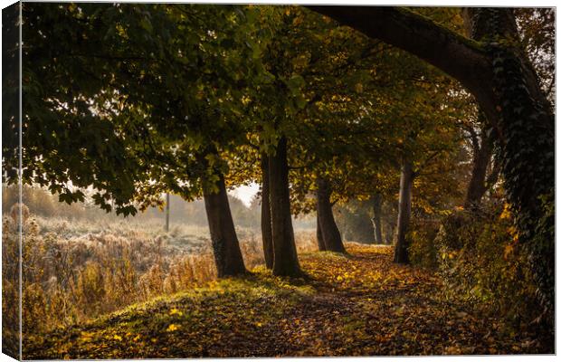 Coate Water Country park, United Kingdom, UK Canvas Print by Michaela Gainey