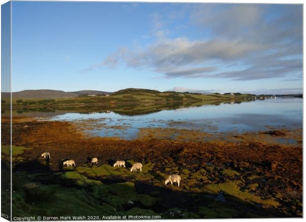 Morning at Loch Dunvegan Canvas Print by Darren Mark Walsh