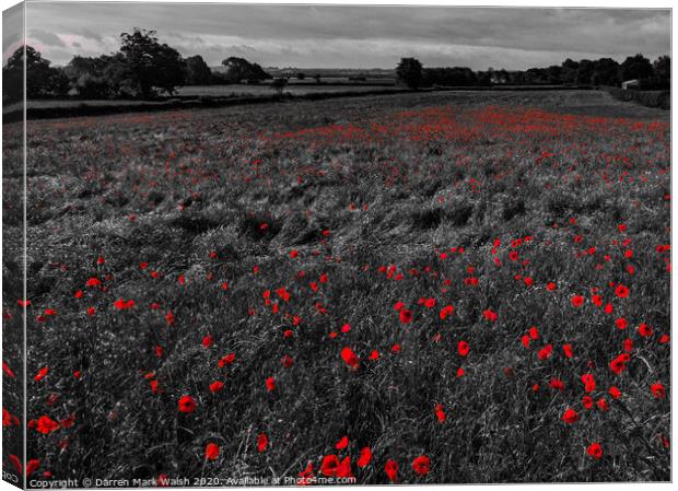 Poppies Canvas Print by Darren Mark Walsh