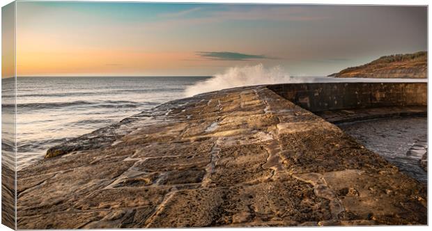 The Curved Cobb at Lyme Regis Canvas Print by Alan Jackson