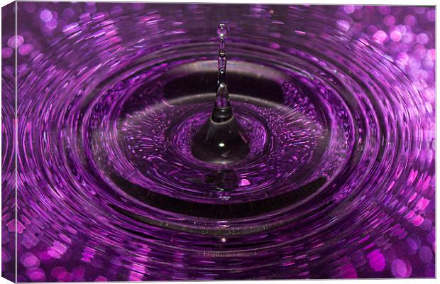 Splash of Purple Canvas Print by Jennifer Higgs