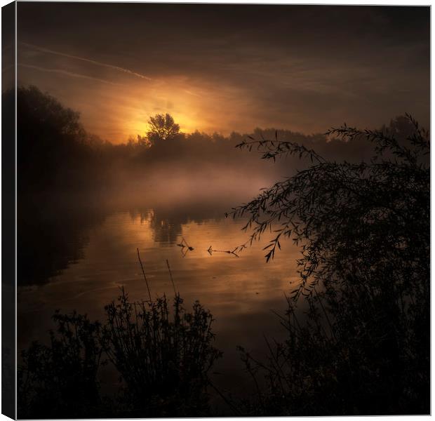 Sunrise over small pond Canvas Print by Nick Lukey
