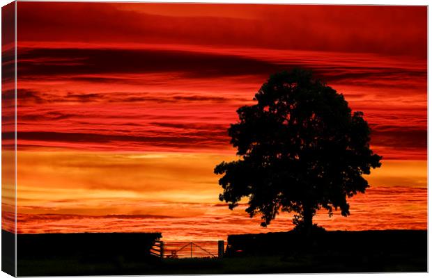 Spectacular sunset in the Derbyshire dales Canvas Print by Nick Lukey