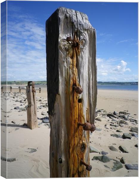 Old Weathered Posts, Crow Point, Braunton Burrows, Canvas Print by Richard Brookes