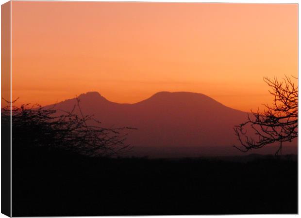 Mount Kilimanjaro Canvas Print by miles walker