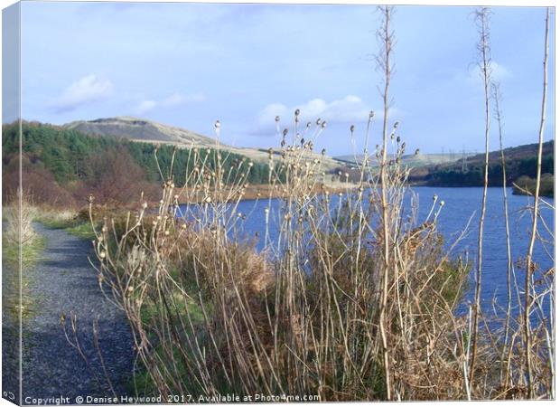 Grasses at Crowden Reservoir  Canvas Print by Denise Heywood