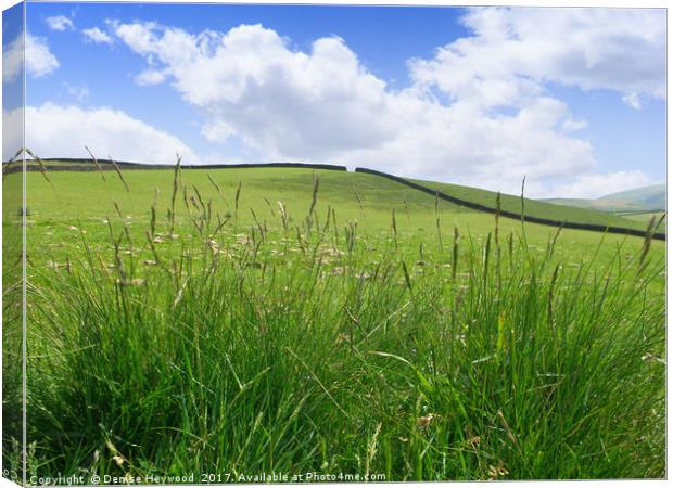 Grassy Hill Canvas Print by Denise Heywood
