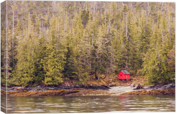 Red Cabin on Edge of Alaskan Waterway in Evergreen Canvas Print by Darryl Brooks
