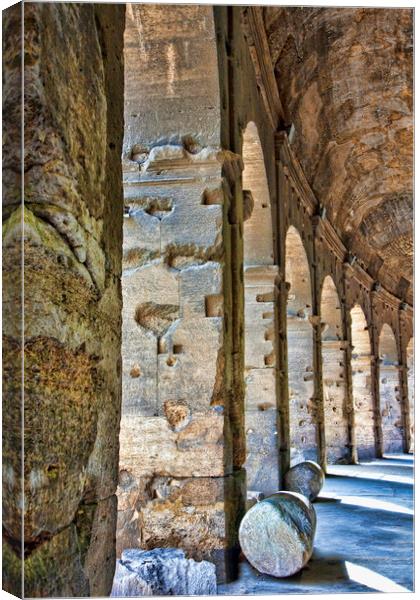 Colonnade Under Coliseum Canvas Print by Darryl Brooks