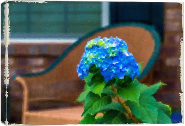 Blue Hydrangea on Porch Canvas Print by Darryl Brooks
