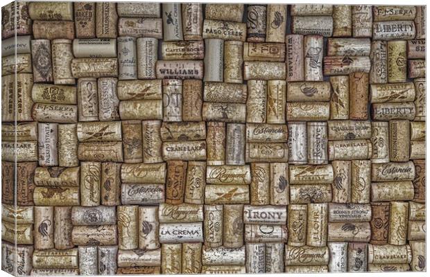 Champagne Corks on Wall Canvas Print by Darryl Brooks