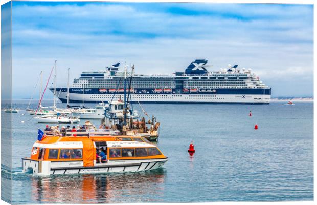 LIfeboat and Celebrity Infinity Canvas Print by Darryl Brooks