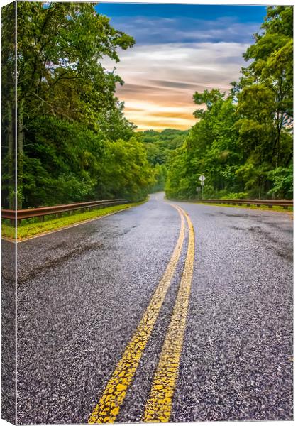 Road into The Light Canvas Print by Darryl Brooks