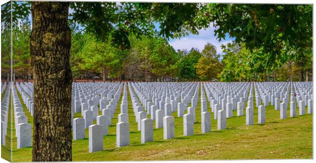 Rows of Markers at Veterans Cemetery Beyond Tree Canvas Print by Darryl Brooks
