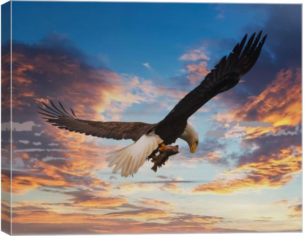 Eagle on Dramatic Sky Canvas Print by Darryl Brooks