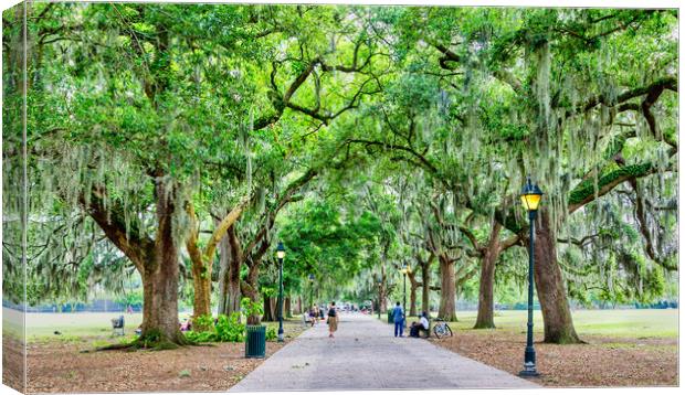 Many People in Forsyth Park Canvas Print by Darryl Brooks