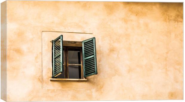 One Window with Green Shutters Canvas Print by Darryl Brooks