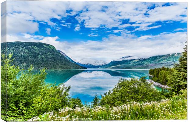 Pristine Blue Alaskan Lake Canvas Print by Darryl Brooks