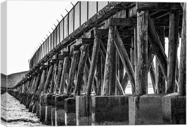 Supports on Old Abandoned Pier Canvas Print by Darryl Brooks