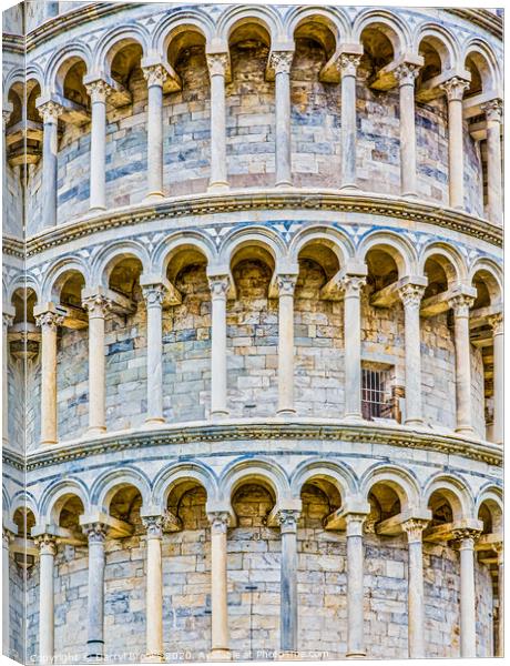 Single Door in Pisa Tower Canvas Print by Darryl Brooks