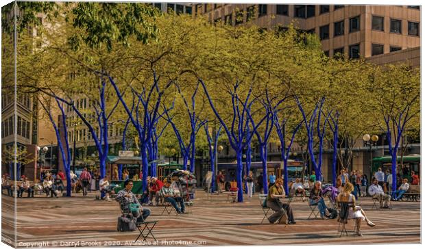 Seattle Park with Blue Trees    Canvas Print by Darryl Brooks