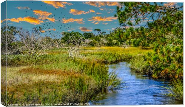 Flock Over Wetland Marsh Canvas Print by Darryl Brooks