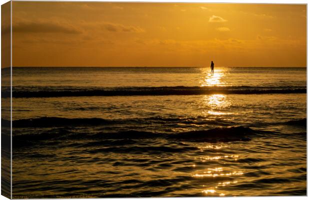Lone Paddle Boarder Canvas Print by Derek Hickey