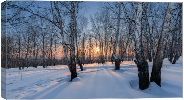Winter evening in a birch grove Canvas Print by Dobrydnev Sergei