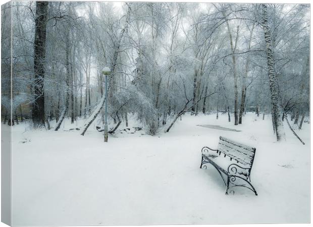 Snow-covered city park with a lonely bench Canvas Print by Dobrydnev Sergei