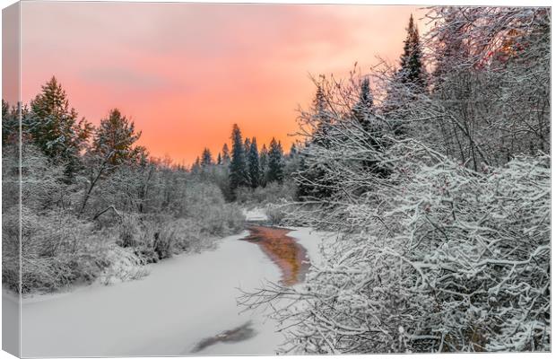 Evening sky over a frozen forest river Canvas Print by Dobrydnev Sergei