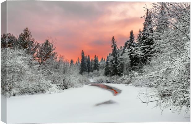 Evening sky over a frozen forest river Canvas Print by Dobrydnev Sergei