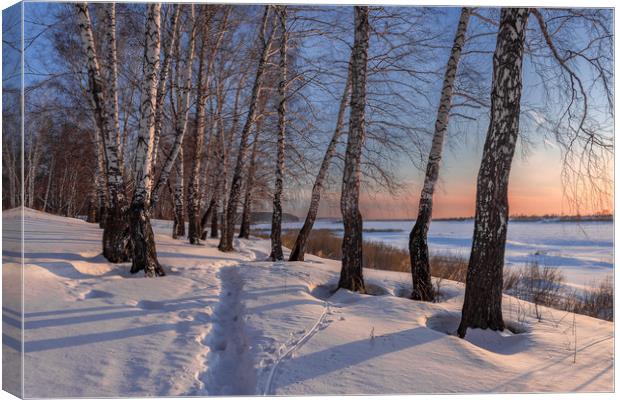 Birch trees on the edge of a snow-covered river va Canvas Print by Dobrydnev Sergei