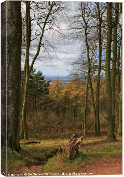 View from the Clent Hills Canvas Print by Jon Jones